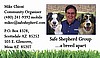 Safe Shepherd Business Card